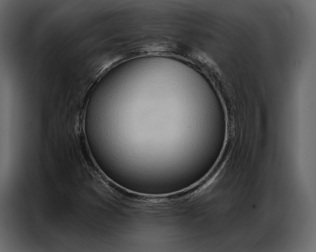 X0000086981353200705071408