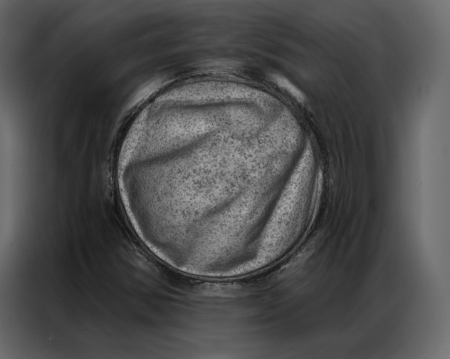 X0000086981354200705071408