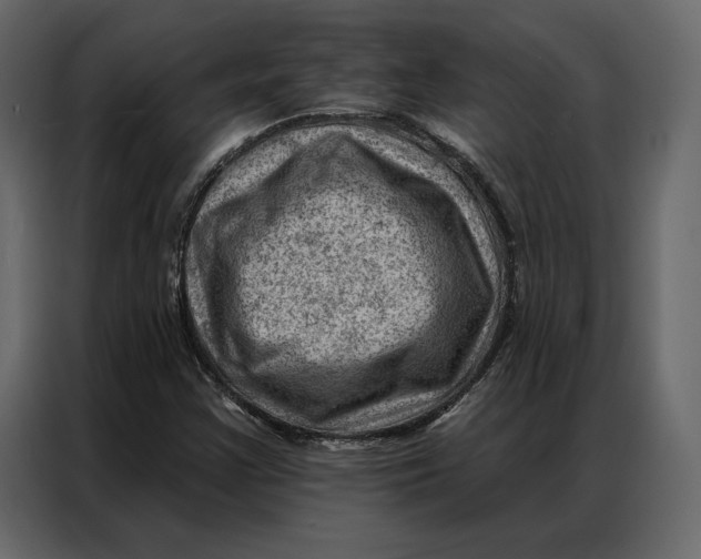 X0000086981355200705071408