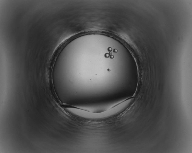 X0000086981356200705071408