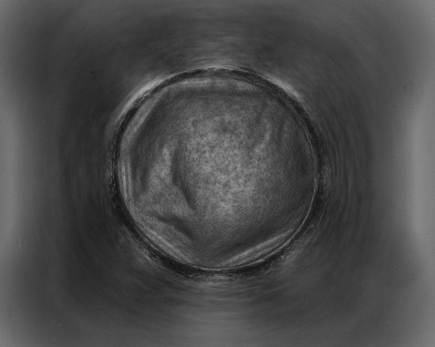 X0000086981359200705071408