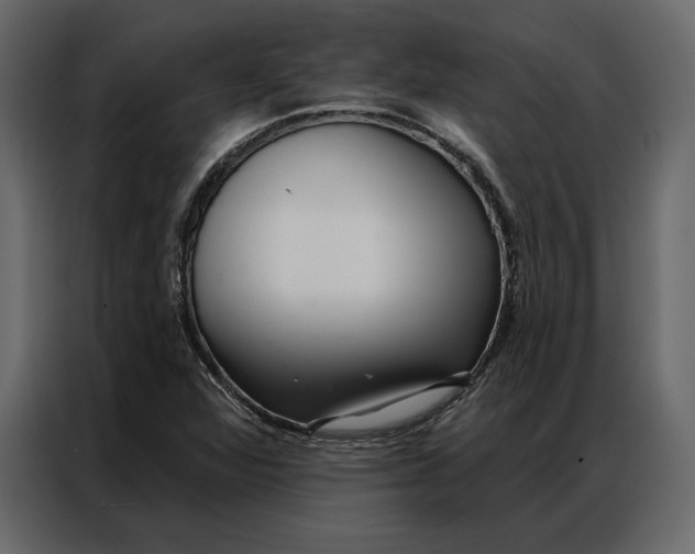 X0000086981360200705071408