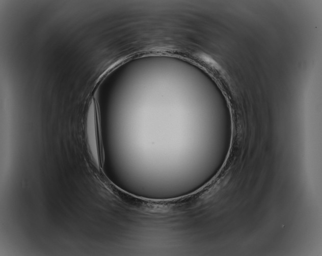 X0000086981361200705071408