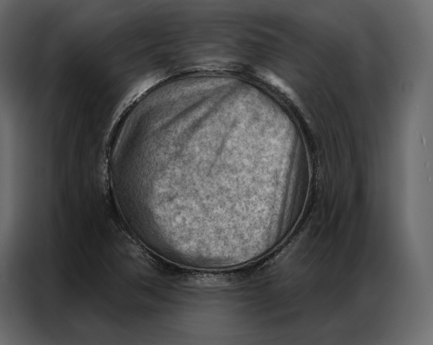 X0000086981362200705071408