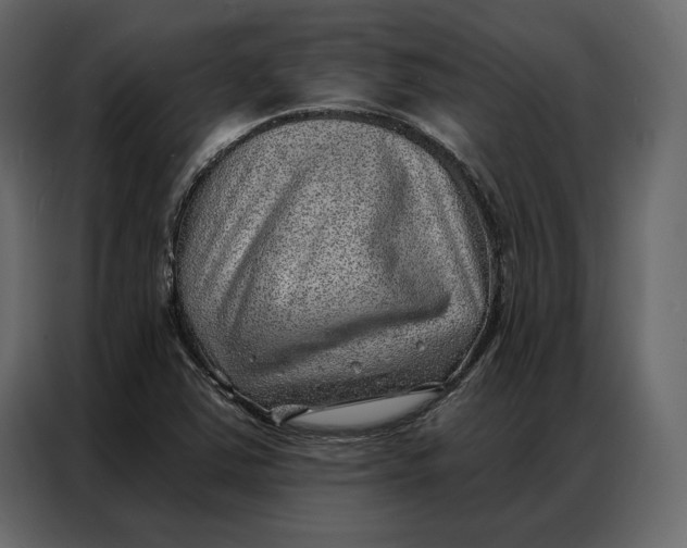 X0000086981363200705071408