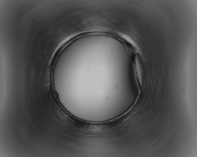 X0000086981364200705071408