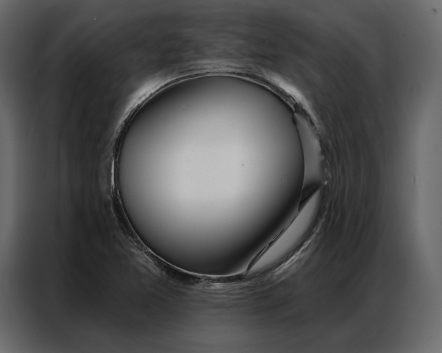 X0000086981365200705071408