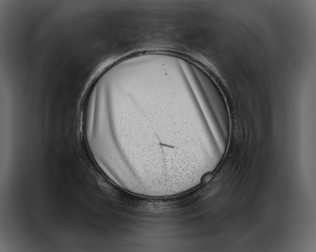 X0000086981366200705071408