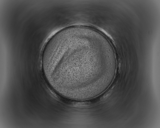 X0000086981367200705071408