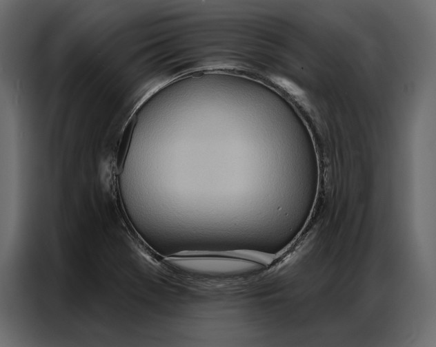 X0000086981369200705071408