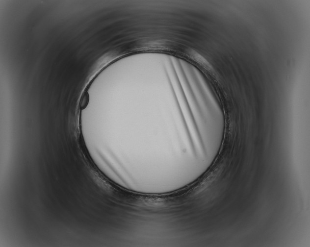 X0000086981370200705071408