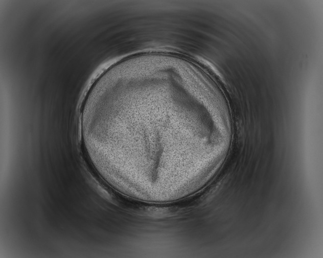 X0000086981371200705071408