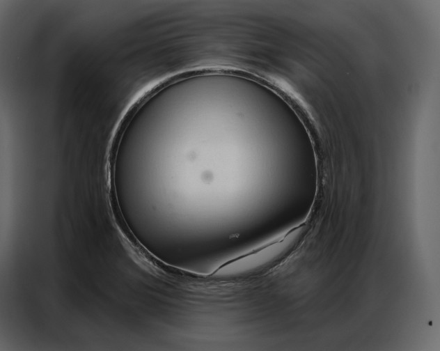 X0000086981372200705071408