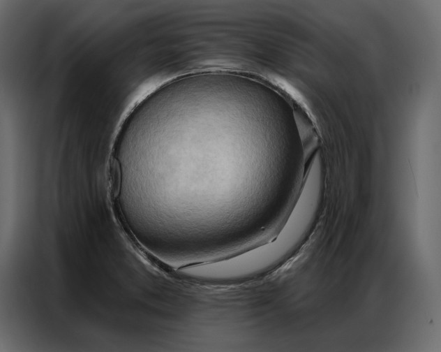 X0000086981373200705071408