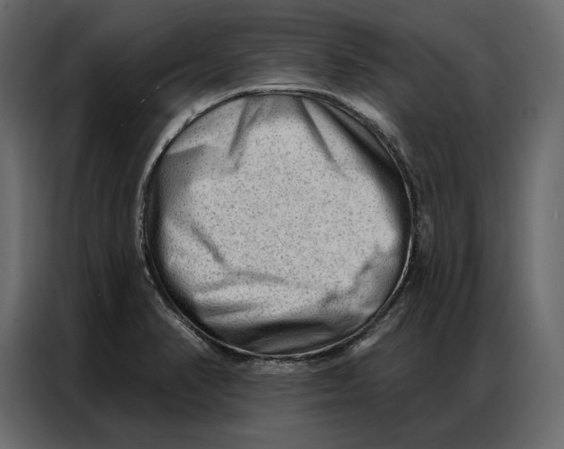 X0000086981374200705071408