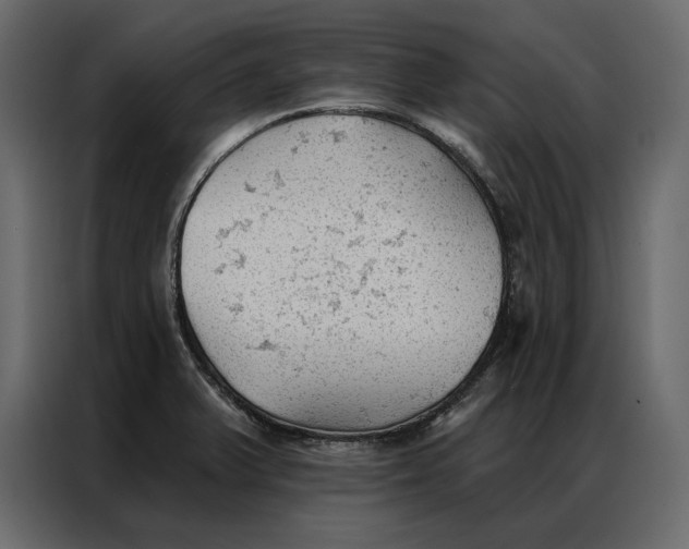 X0000086981375200705071408