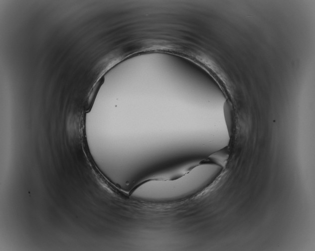 X0000086981377200705071408