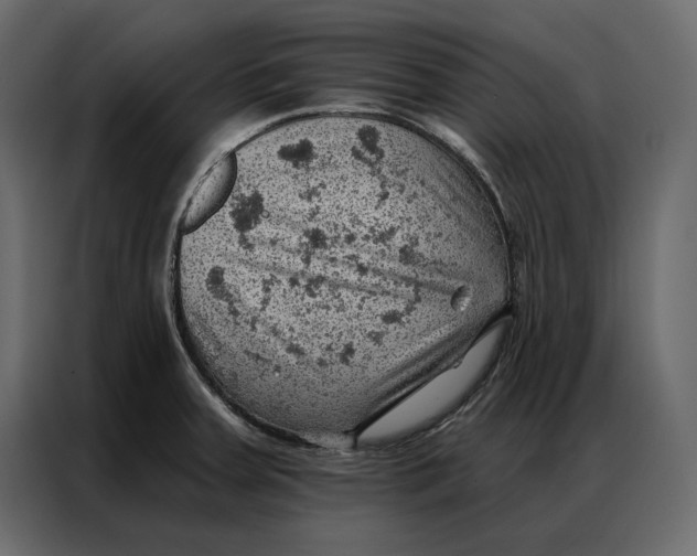 X0000086981379200705071408