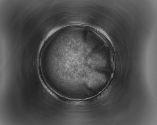 X0000086981381200705071408