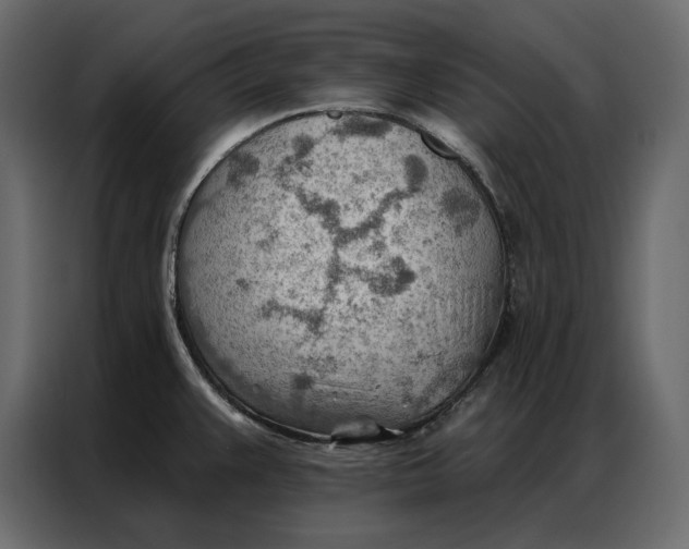 X0000086981383200705071408