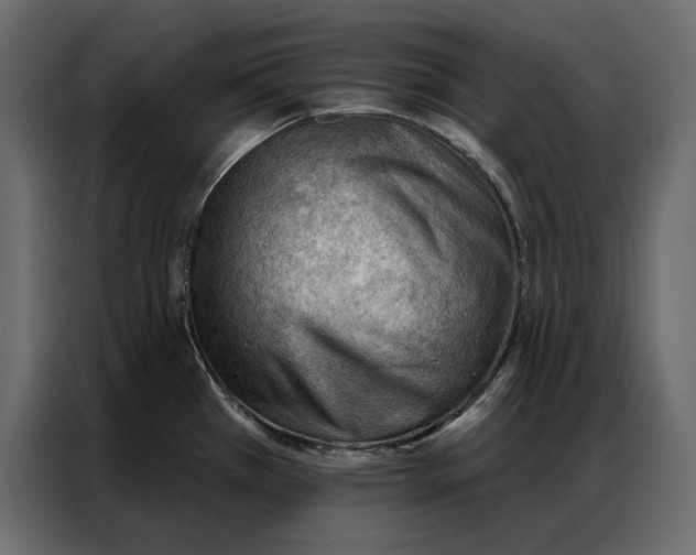 X0000086981385200705071408