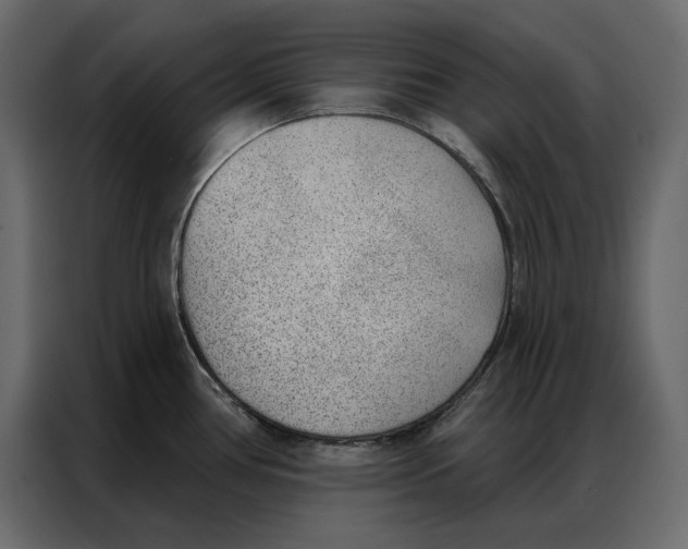 X0000086981386200705071408