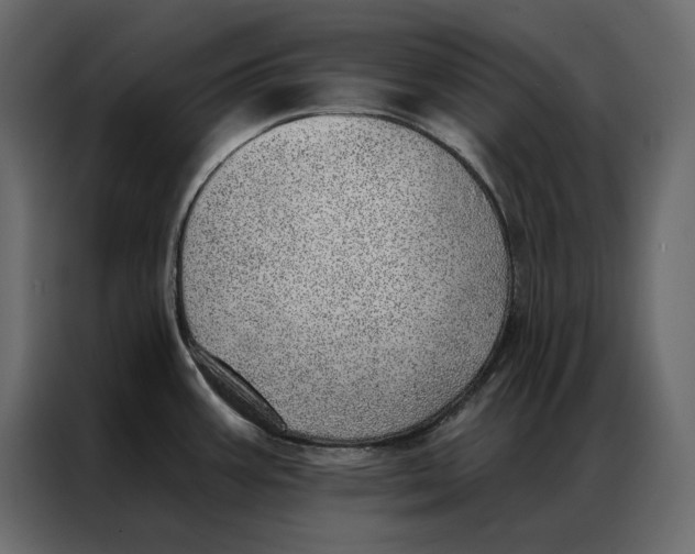 X0000086981387200705071408