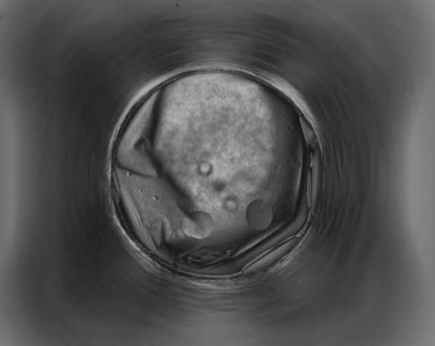 X0000086981388200705071408