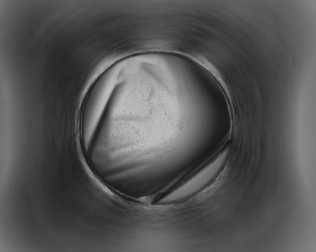 X0000086981389200705071408