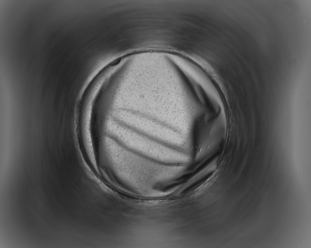 X0000086981390200705071408