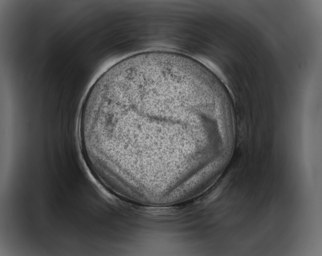 X0000086981391200705071408