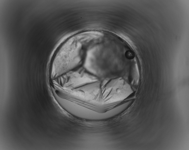 X0000086981392200705071408