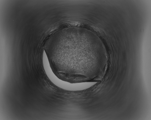 X0000086981394200705071407