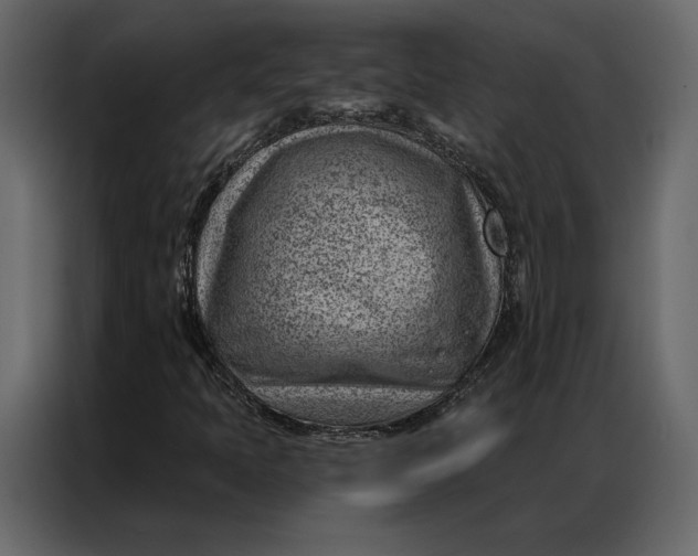 X0000086981397200705071407