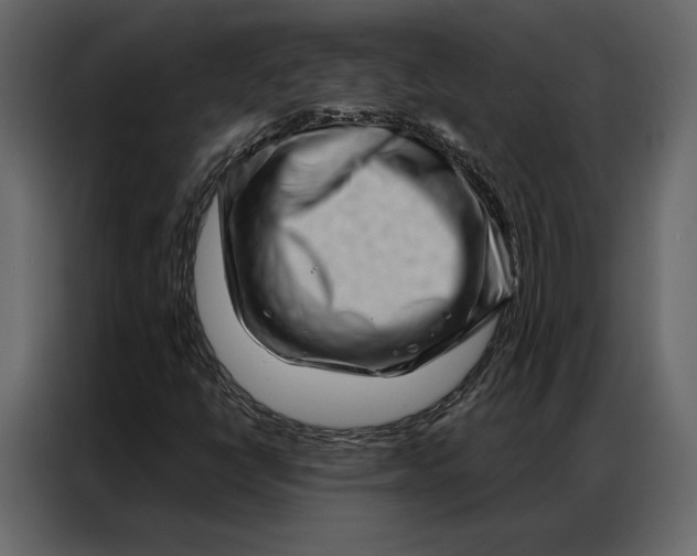 X0000086981398200705071407