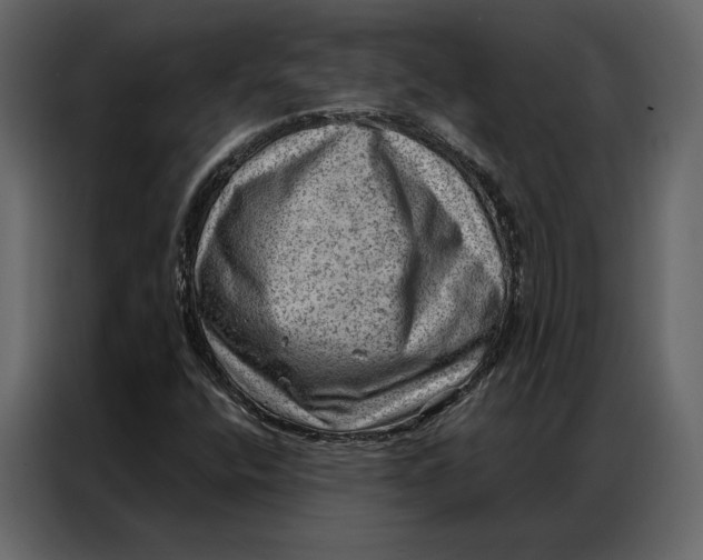 X0000086981400200705071407