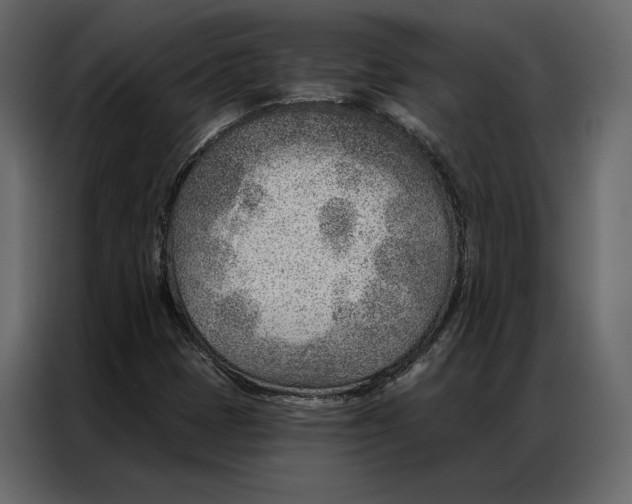 X0000086981401200705071407