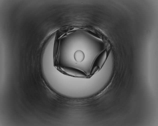 X0000086981402200705071407