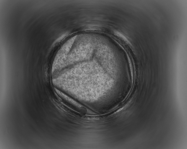 X0000086981403200705071407