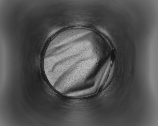 X0000086981404200705071407