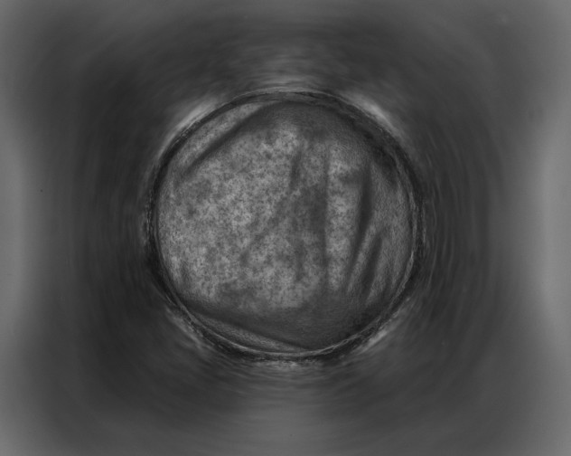 X0000086981405200705071407