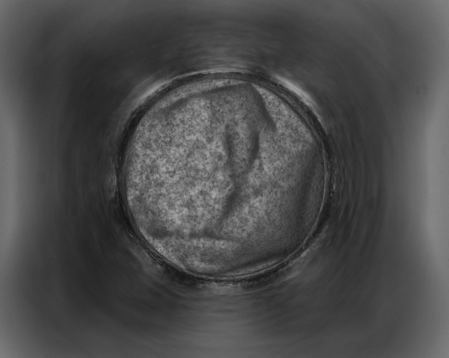 X0000086981407200705071407