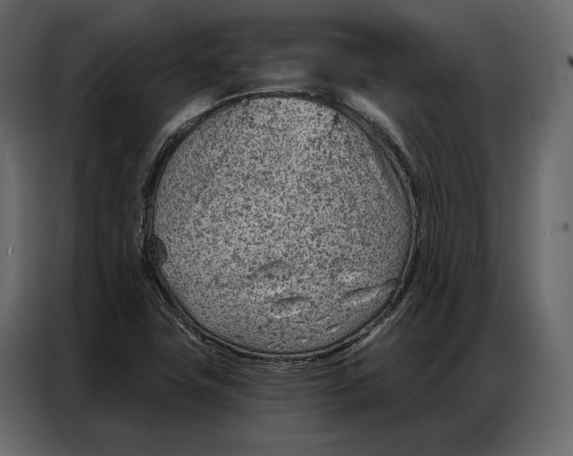 X0000086981411200705071407