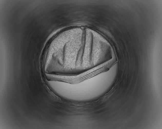 X0000086981412200705071407