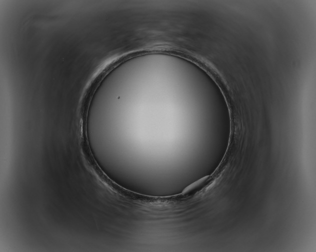 X0000086981414200705071407