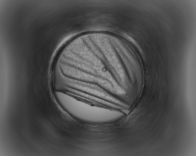 X0000086981416200705071407