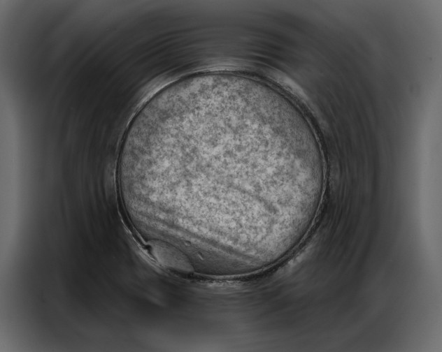 X0000086981417200705071408