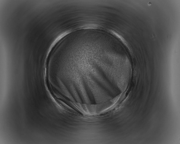 X0000086981418200705071408