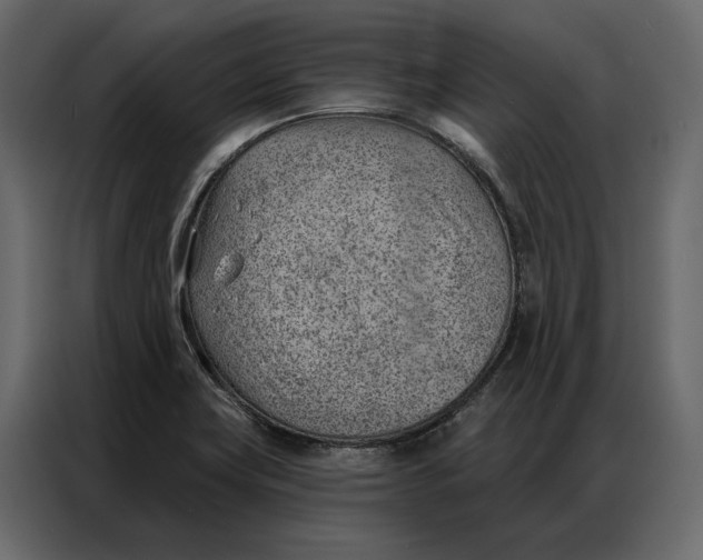 X0000086981419200705071408