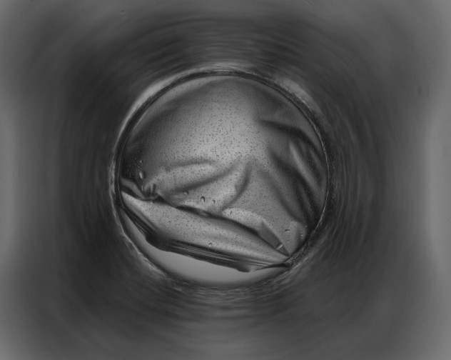 X0000086981420200705071408